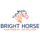 Bright Horse IT logo